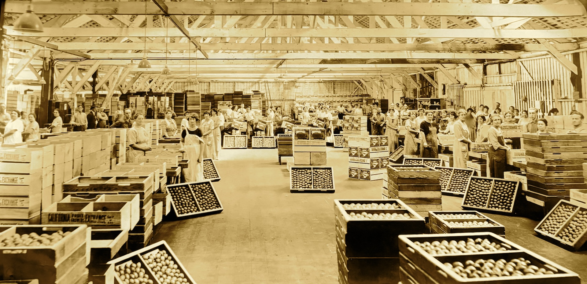 The historic peach packing plant in Woolsey