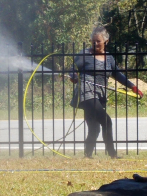 Gail Jenkins Pressure Washing the Fence October 14 Photo by Jamie Lovett © 2023