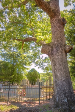 <span>CEMETERY:</span> Photo by Jenny Burdette © 2021