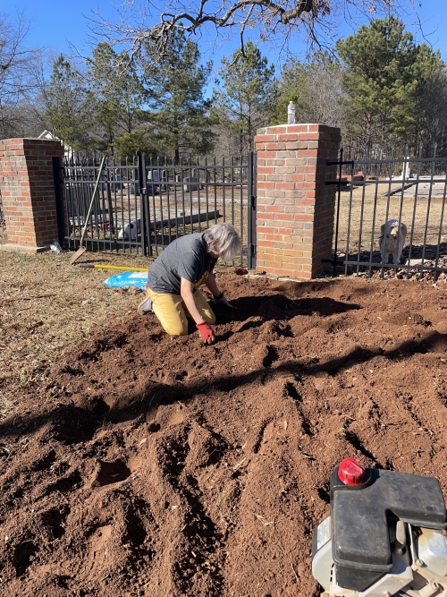 Dana Sams preparing the bed to plant. Photo by Gail Jenkins © 2024 Dana Sams preparing the bed to plant. Photo by Gail Jenkins © 2024