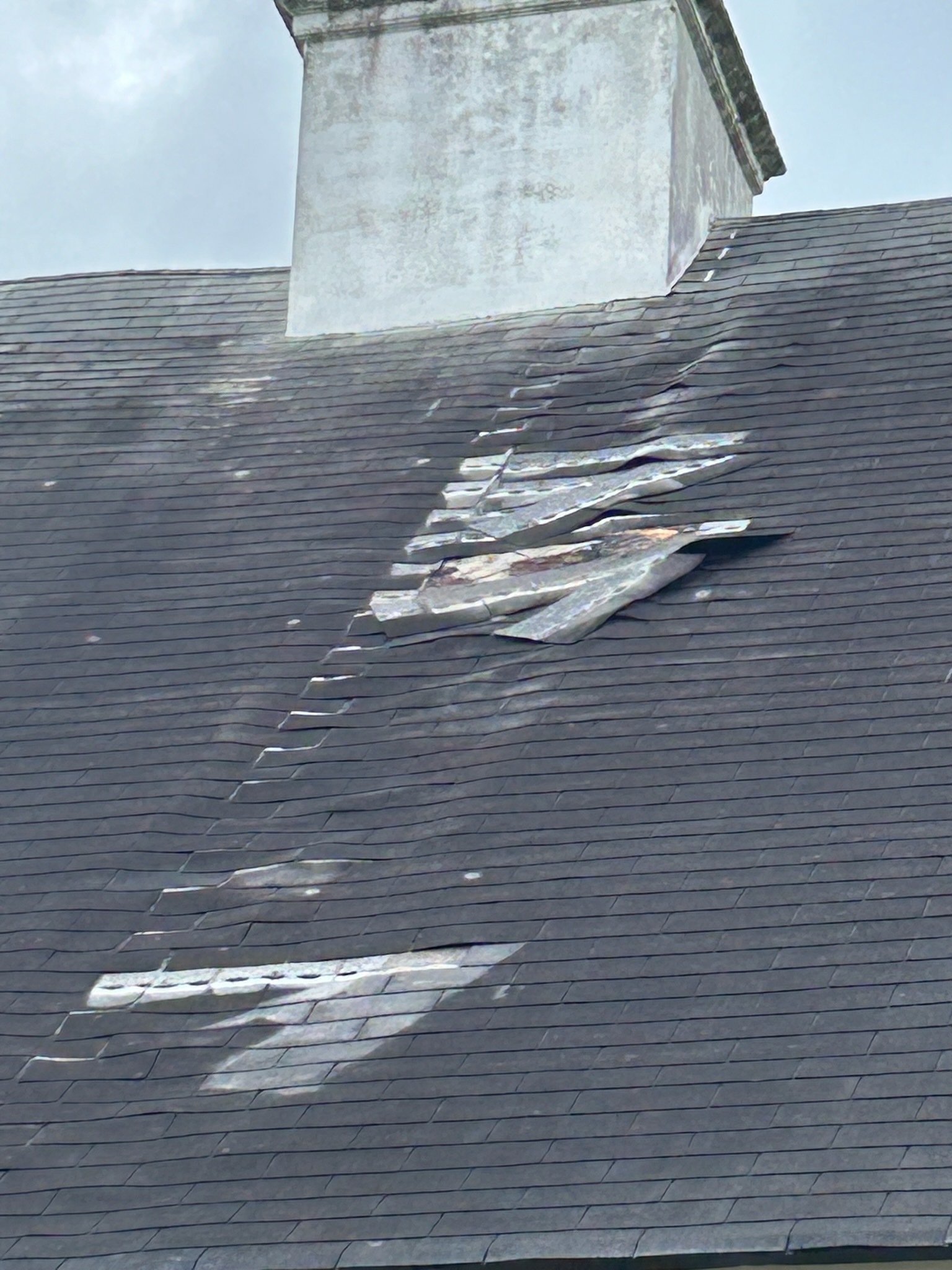 Photo by Dana Sams after first storm ©2024 Photo by Dana Sams after first storm ©2024